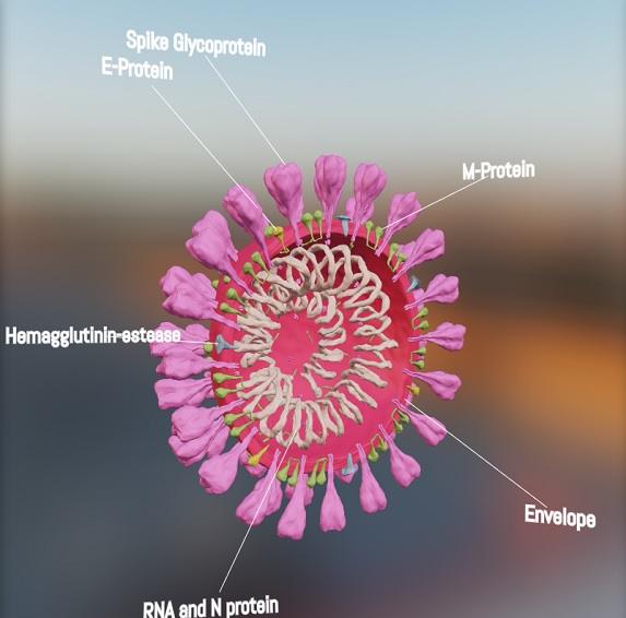 Biology presentation.